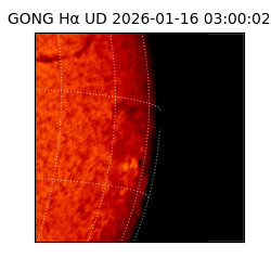gong - 2026-01-16T03:00:02