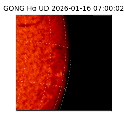 gong - 2026-01-16T07:00:02