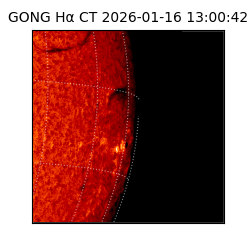 gong - 2026-01-16T13:00:42