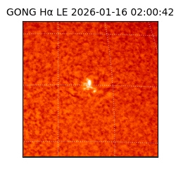 gong - 2026-01-16T02:00:42