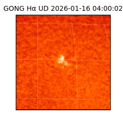 gong - 2026-01-16T04:00:02