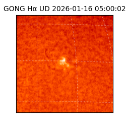 gong - 2026-01-16T05:00:02