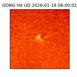 gong - 2026-01-16T06:00:02