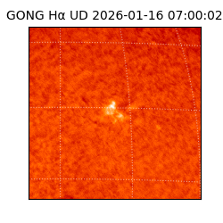gong - 2026-01-16T07:00:02