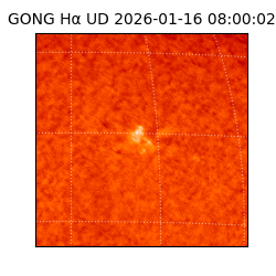 gong - 2026-01-16T08:00:02