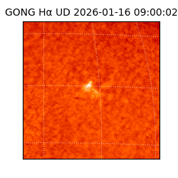 gong - 2026-01-16T09:00:02