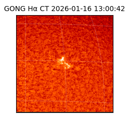 gong - 2026-01-16T13:00:42