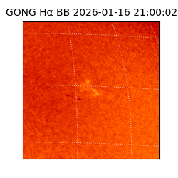 gong - 2026-01-16T21:00:02