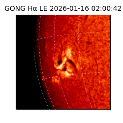 gong - 2026-01-16T02:00:42