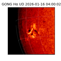 gong - 2026-01-16T04:00:02
