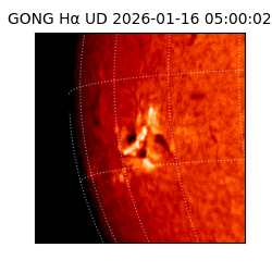 gong - 2026-01-16T05:00:02