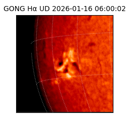 gong - 2026-01-16T06:00:02