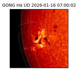 gong - 2026-01-16T07:00:02