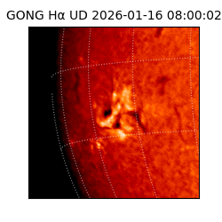 gong - 2026-01-16T08:00:02