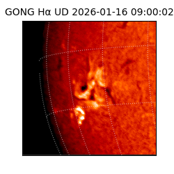 gong - 2026-01-16T09:00:02