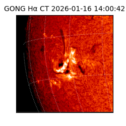 gong - 2026-01-16T14:00:42