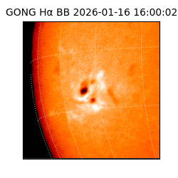 gong - 2026-01-16T16:00:02