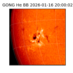 gong - 2026-01-16T20:00:02