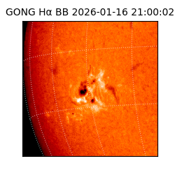 gong - 2026-01-16T21:00:02