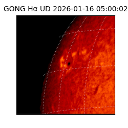 gong - 2026-01-16T05:00:02