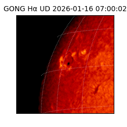 gong - 2026-01-16T07:00:02