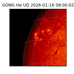gong - 2026-01-16T08:00:02