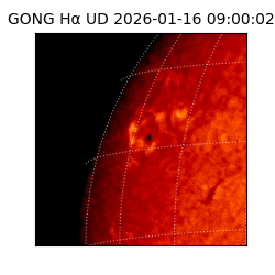 gong - 2026-01-16T09:00:02