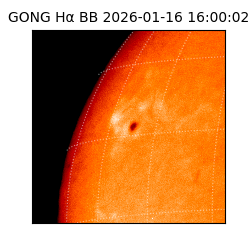 gong - 2026-01-16T16:00:02