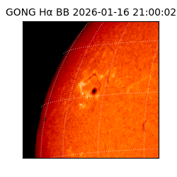gong - 2026-01-16T21:00:02