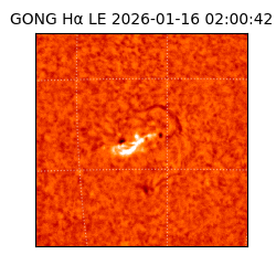gong - 2026-01-16T02:00:42