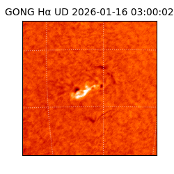 gong - 2026-01-16T03:00:02
