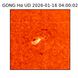 gong - 2026-01-16T04:00:02