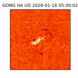 gong - 2026-01-16T05:00:02