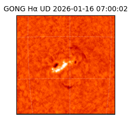 gong - 2026-01-16T07:00:02