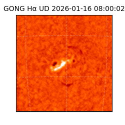 gong - 2026-01-16T08:00:02