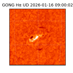 gong - 2026-01-16T09:00:02