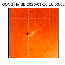 gong - 2026-01-16T16:00:02