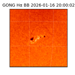 gong - 2026-01-16T20:00:02