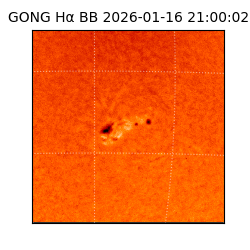 gong - 2026-01-16T21:00:02