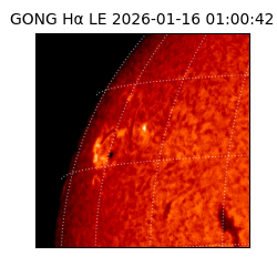 gong - 2026-01-16T01:00:42