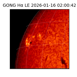 gong - 2026-01-16T02:00:42