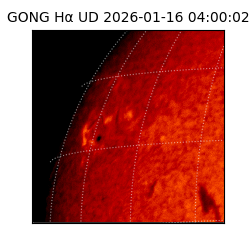 gong - 2026-01-16T04:00:02