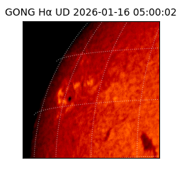 gong - 2026-01-16T05:00:02