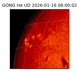 gong - 2026-01-16T06:00:02
