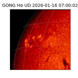 gong - 2026-01-16T07:00:02