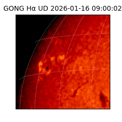 gong - 2026-01-16T09:00:02