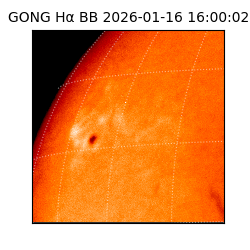 gong - 2026-01-16T16:00:02