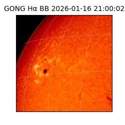 gong - 2026-01-16T21:00:02