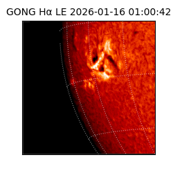 gong - 2026-01-16T01:00:42