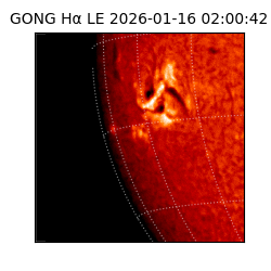 gong - 2026-01-16T02:00:42